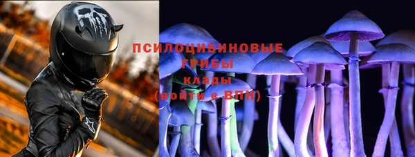 кокс Алзамай