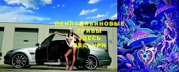 кокс Алзамай